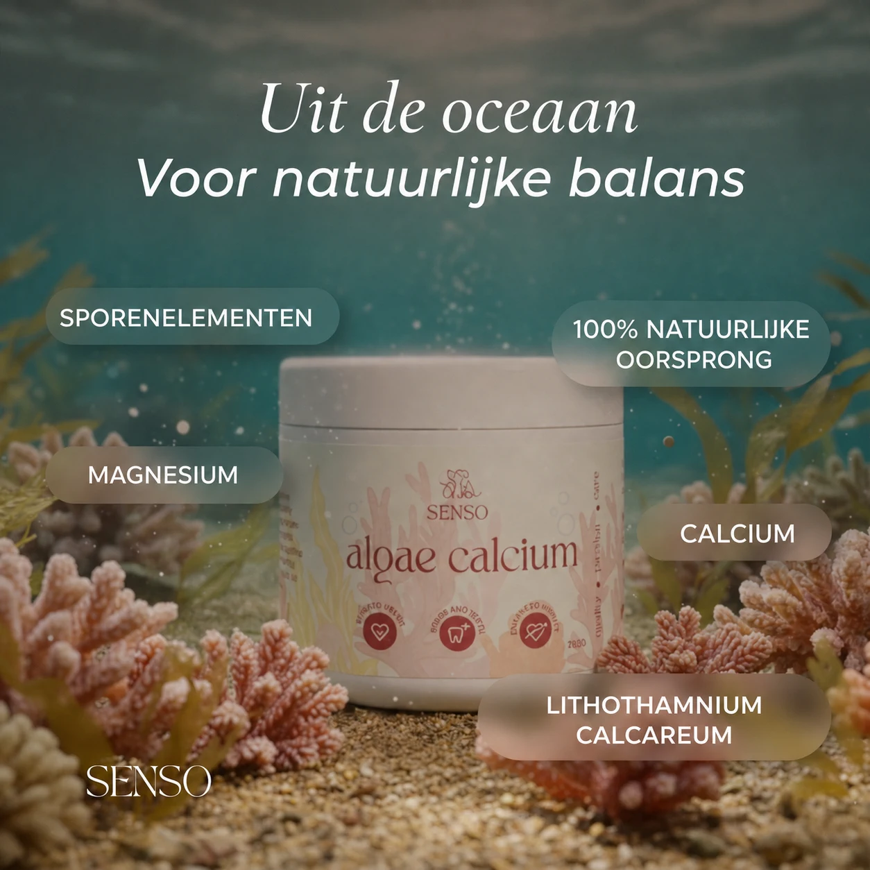Ingrediënteninfographic van Calcium uit algen