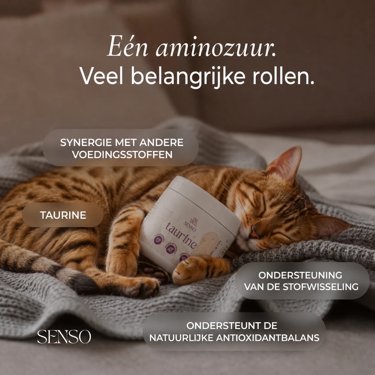 Ingrediënteninfographic van Taurine